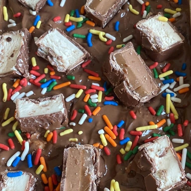 Classic Chocolate Brownie